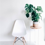 item-4